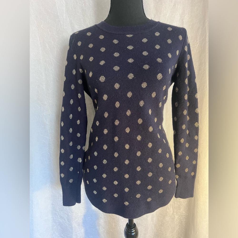 LOFT Navy Polka Dot Sweater
